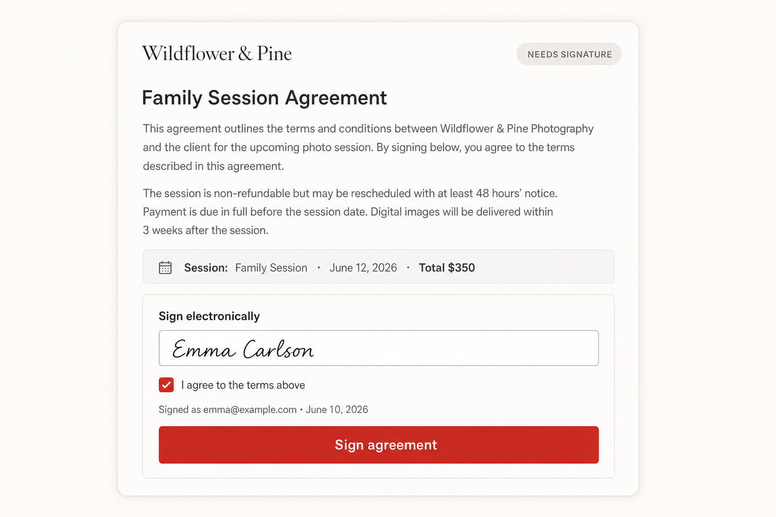 A session agreement with a typed signature field and sign button, as the client sees it. Demo data.