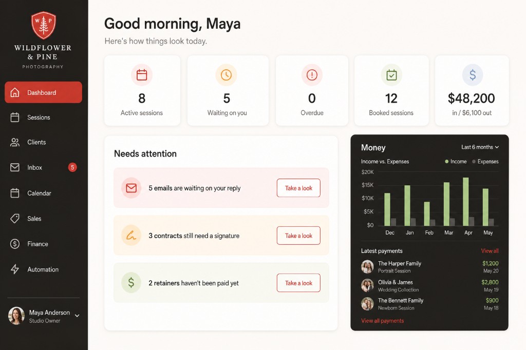 Dashboard with stat tiles, a needs-attention list, and a money chart. Demo data.
