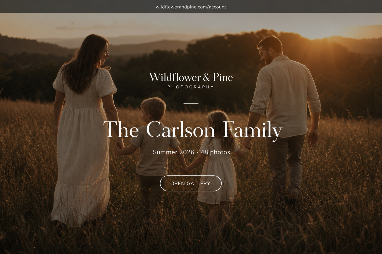 A full-bleed gallery cover page: a family walking through a golden meadow with the studio wordmark and an Open Gallery button. Demo data.