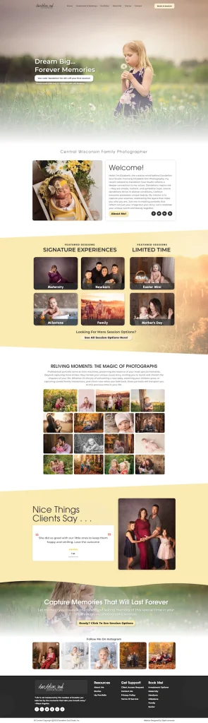 Dandelion Soul Studio screenshot